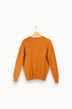 Online Absolut Cashmere Pull 100% cashmere - S/36 Marron